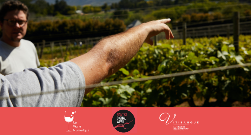 « La filière viticole ligérienne en transition » – webinaire à la Nantes Digital Week